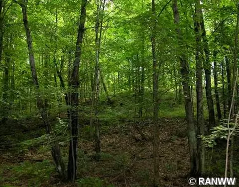 45230 E Cable Lake Rd, Cable, WI 54821 photo 10