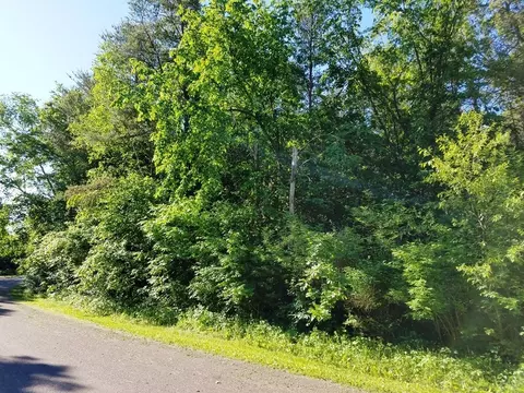lot50 821st Ave, Colfax, WI 54730