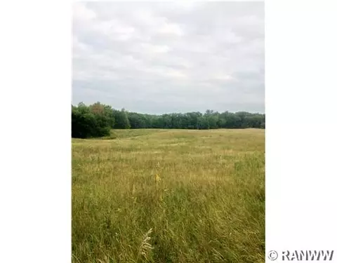 1043 340th Ave, Frederic, WI 54837 photo 10