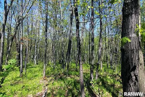 n7568 Edgewood Drive, Springbrook, WI 54875 photo 21