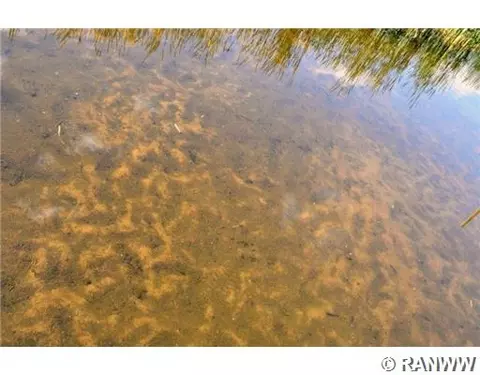 10845 Whispering Wind Dr, Frederic, WI 54837 photo 7