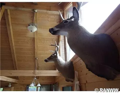 247 Town Rd Tt, Dairyland, WI 54830 photo 13