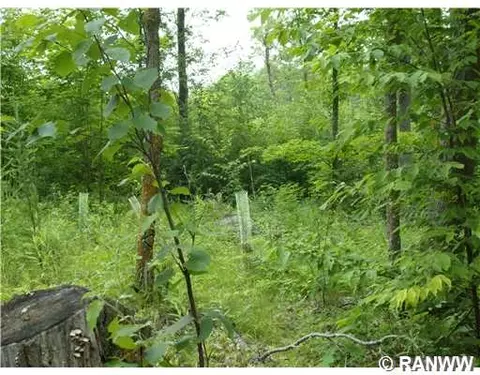 247 Town Rd Tt, Dairyland, WI 54830 photo 17
