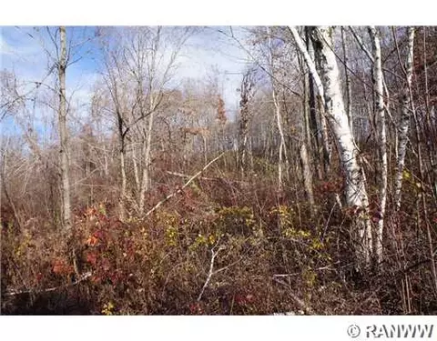 w2611 East Oak Road, Eleva, WI 54738 photo 6