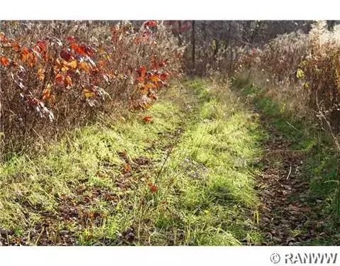 w2611 East Oak Road, Eleva, WI 54738 photo 7
