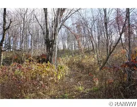 w2611 East Oak Road, Eleva, WI 54738 photo 9