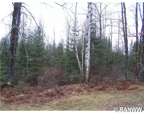 4069 W Knowles Rd, Loretta, WI 54896 photo 12