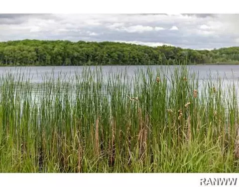 22035 175th St, Cornell, WI 54732 photo 21