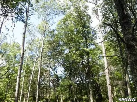 5541 Culbertson Rd, Webster, WI 54893 photo 10