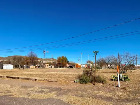 703 E Ave F, Alpine, TX 79830 photo 1