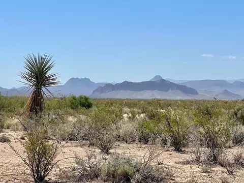 Tr 4411 Roja Lane, Terlingua, TX 79852