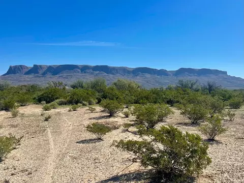 Tr 4464 Private Rd, Terlingua, TX 79852