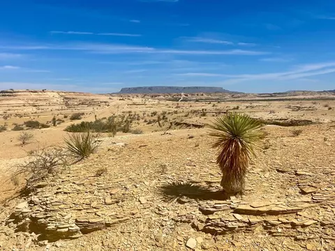 Tr:f297 Taurus Mesa Rd, Terlingua, TX 79852