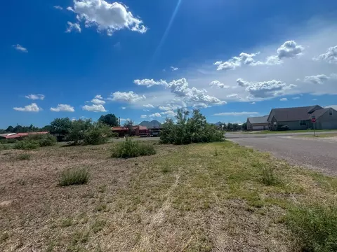 lot4 W Eagle Pass, Alpine, TX 79830 photo 4