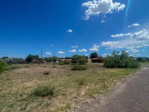 lot4 W Eagle Pass, Alpine, TX 79830 photo 9