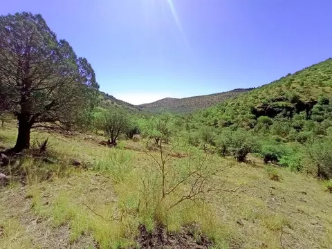 519 Squaw Valley Trl, Fort Davis, TX 79734