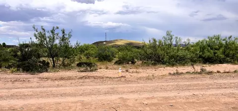 406 Sagebrush Rd, Alpine, TX 79830