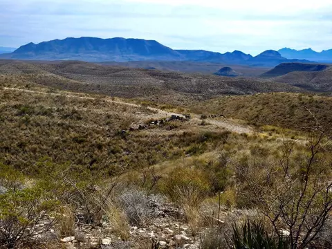 6393 East Cedar Springs Road, Terlingua, TX 79852