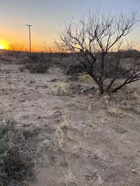 0 W Central Dr, Marfa, TX 79843 photo 4