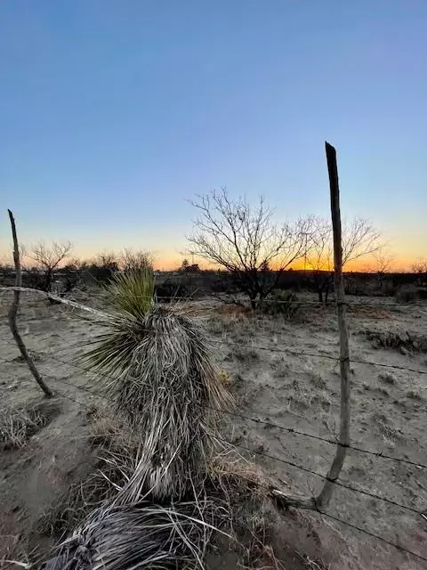 0 W Central Dr, Marfa, TX 79843 photo 6