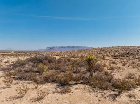 51675 118 S, Alpine, TX 79830