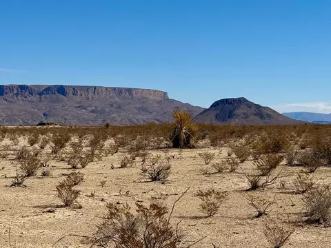 Tr G502 Red Dawg Road, Terlingua, TX 79852
