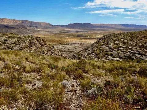 6785 Cedar Springs Rd, Terlingua, TX 79852