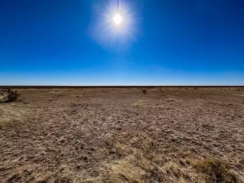 26 Bull Head Run, Cornudas, TX 79847 photo 3