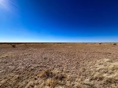 26 Bull Head Run, Cornudas, TX 79847 photo 2