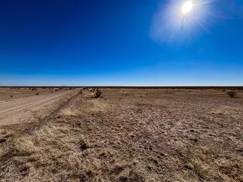 26 Bull Head Run, Cornudas, TX 79847 photo 4