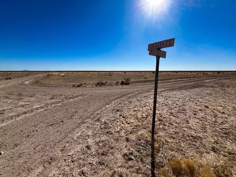 26 Bull Head Run, Cornudas, TX 79847 photo 8