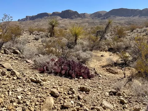 Tr 5269 Missle Dr., Terlingua, TX 79852