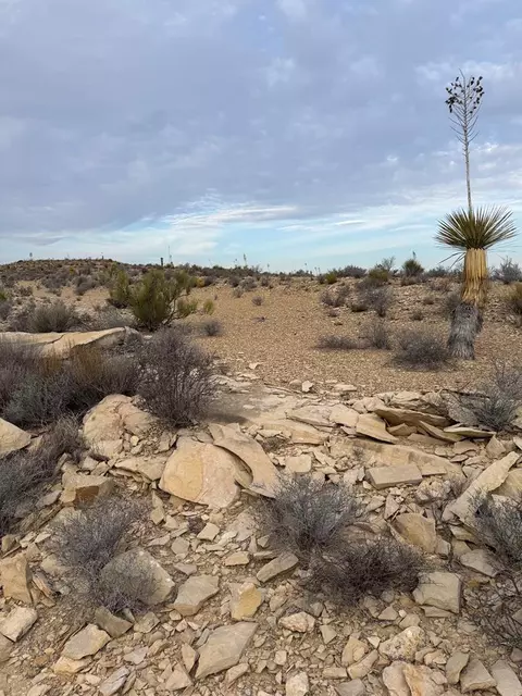 4029 Fort Clark Dr, Terlingua, TX 79852