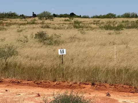 1135 SE 1620, Andrews, TX 79714