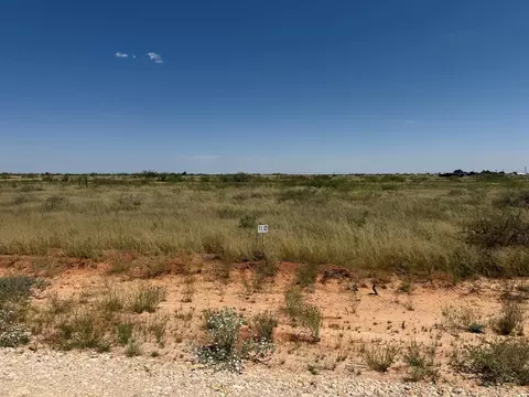 1185 SE 1620, Andrews, TX 79714