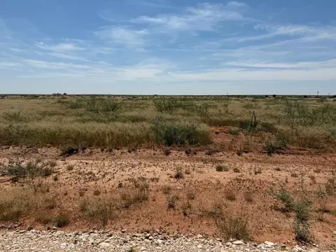 1120 SE 1630, Andrews, TX 79714