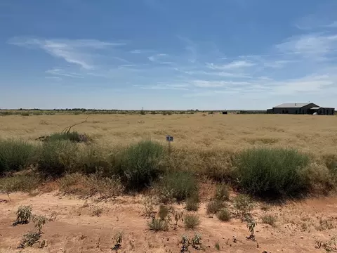 1110 SE 1630, Andrews, TX 79714