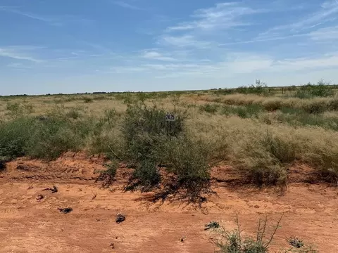 1150 SE 1620, Andrews, TX 79714