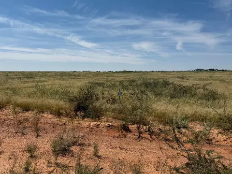 1155 SE 1630, Andrews, TX 79714