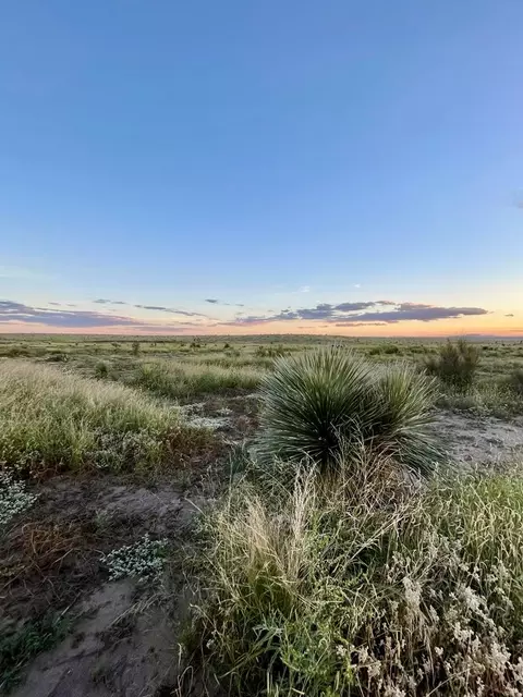 1851 Rabbit Rd, Marfa, TX 79843