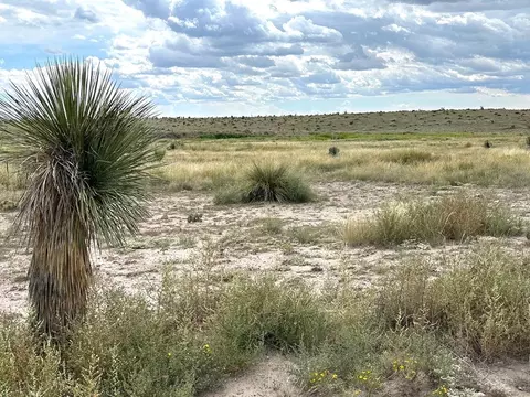 1850 Rabbit Rd, Marfa, TX 79843
