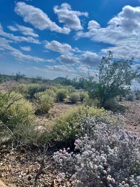 1293 Huffman Rd, Terlingua, TX 79852