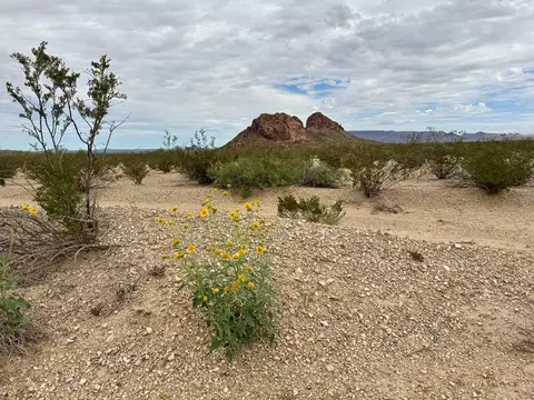 Tr Nc876 War Zone Rd, Terlingua, TX 79852