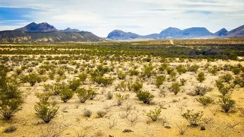 201 S Rodriguez Rd, Terlingua, TX 79852