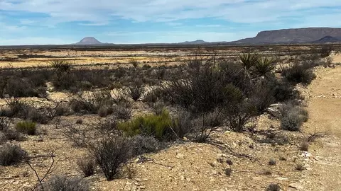 900 Rancho Manana Loop, Terlingua, TX 79852