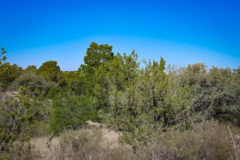 1086 Juniper, Alpine, TX 79830 photo 10