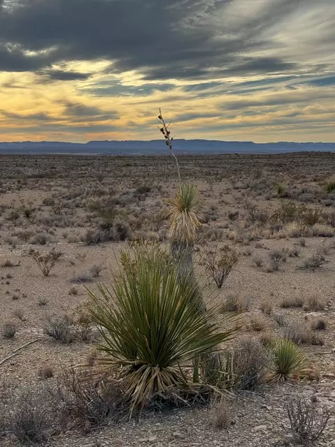 4838 Private Rd, Terlingua, TX 79852