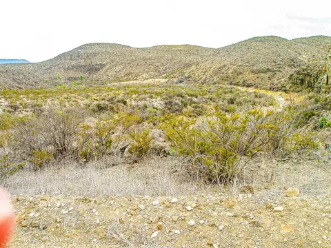 65 Red Draw Rd, Terlingua, TX 79852