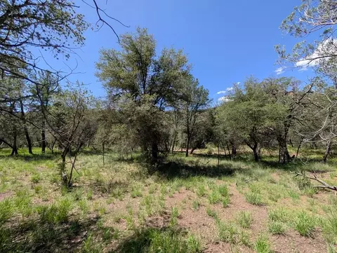 310 Limpia Canyon Trl, Fort Davis, TX 79734