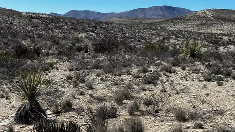 10 Trachyte, Terlingua, TX 79852